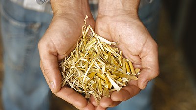 QUADRANT 5200 QUADRANT 5200