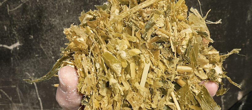 Ensilage fermenté -